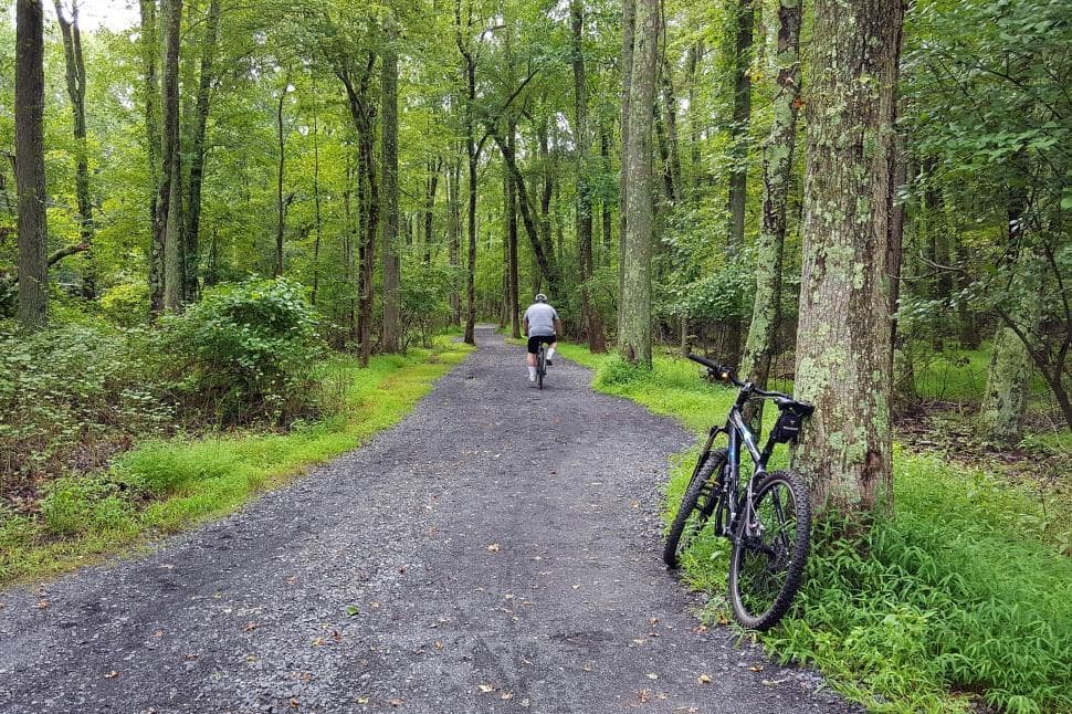 Cycle around the Seymour Valley Trailway