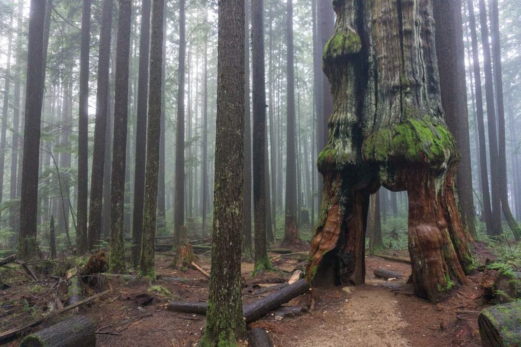 Explore the Hiking Trails