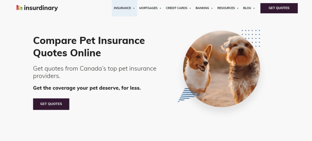 Fetch by The Dodo's Homepage
