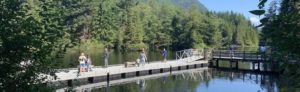 Go Fishing on Rice Lake