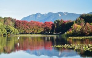 John Hendry (Trout Lake) Park