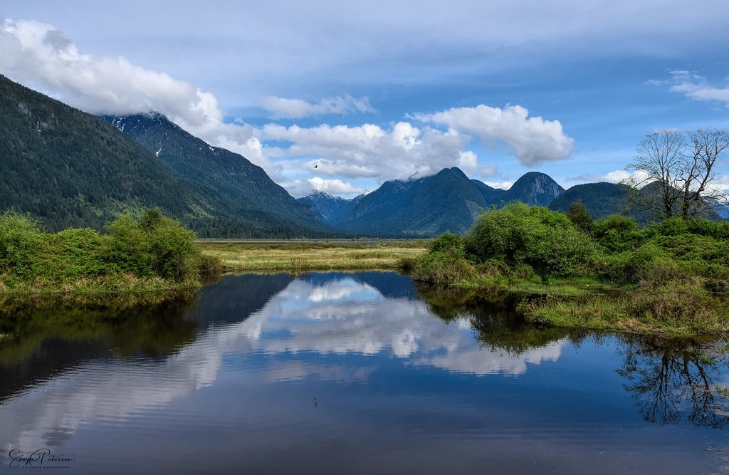 Pitt Lake