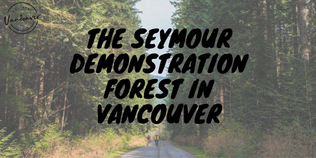 The Seymour Demonstration Forest in Vancouver