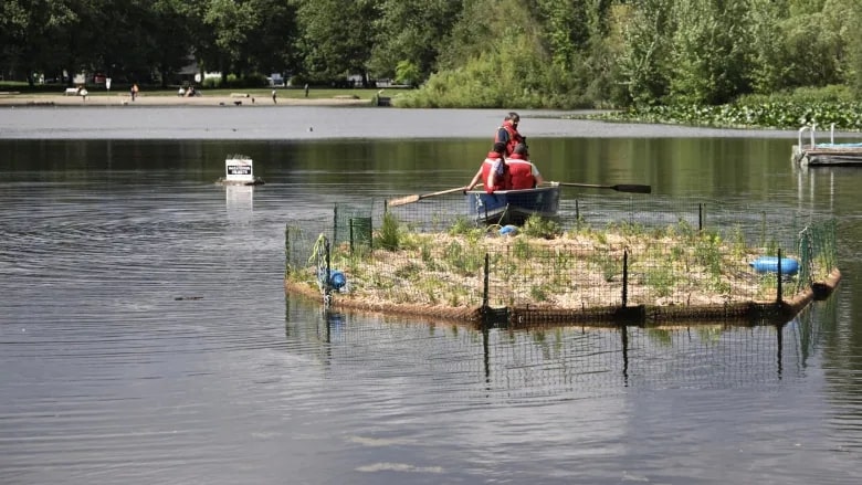 Trout Lake