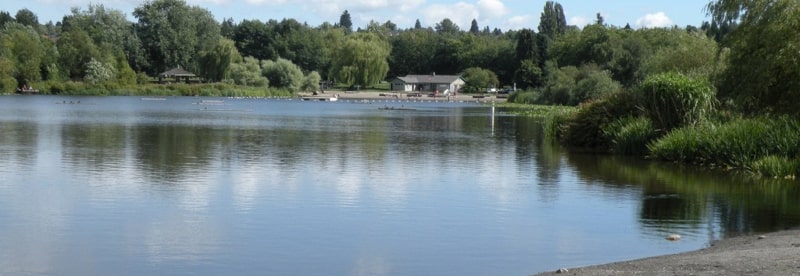 Trout Lake