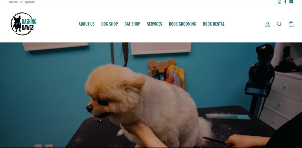 Dog and cat best sale shop near me