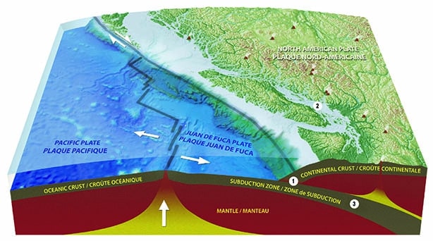 What is the Cascadia Subduction Zone