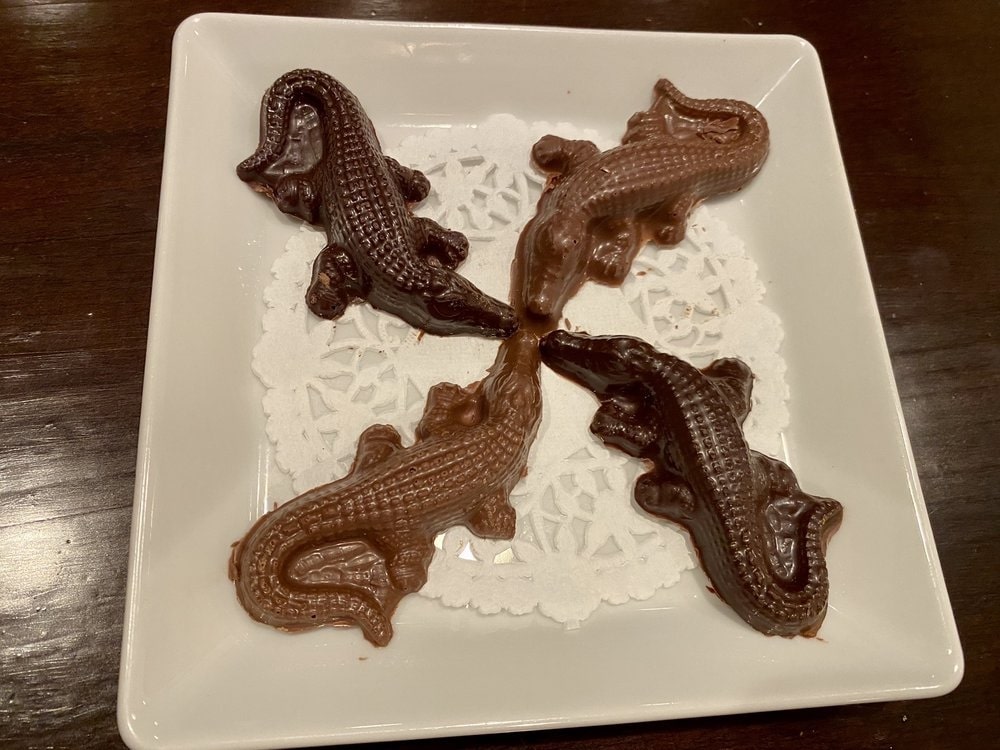 Chocolate crocodile desserts