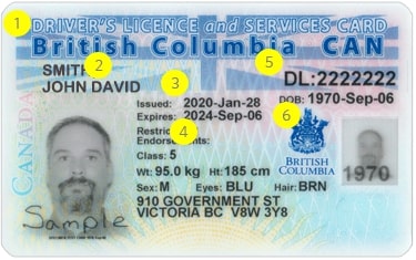Convert Your Driving License to a BC Drivers License