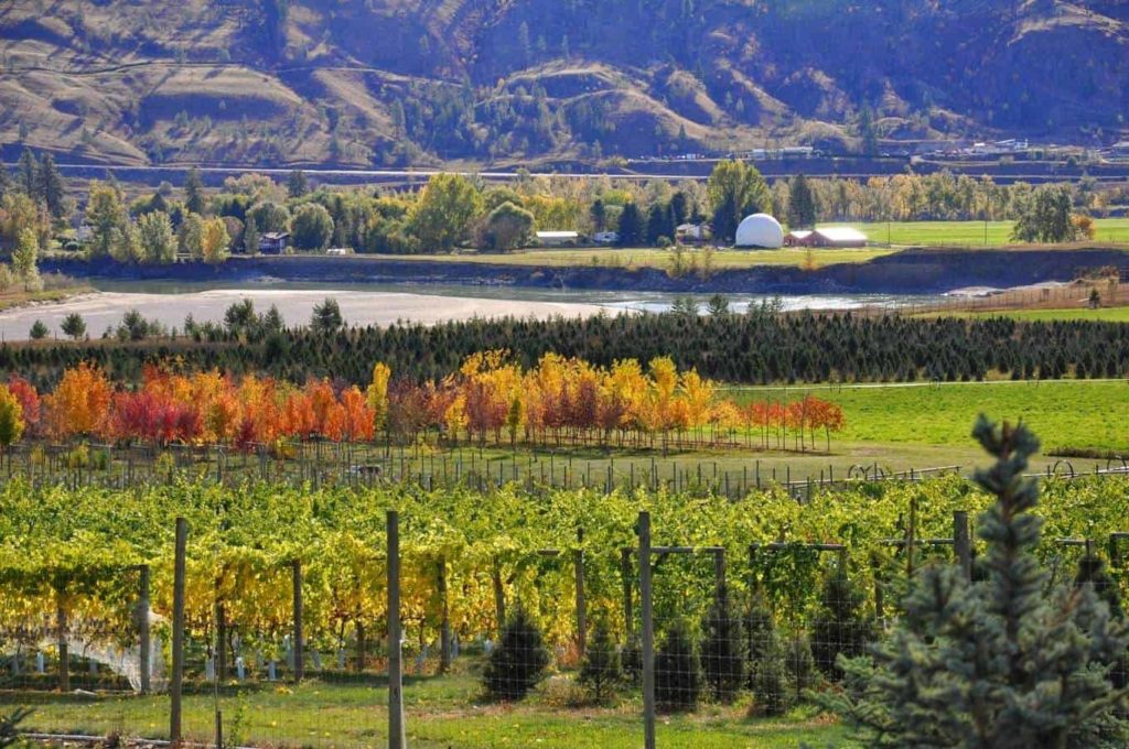 Privato Vineyard and Winery