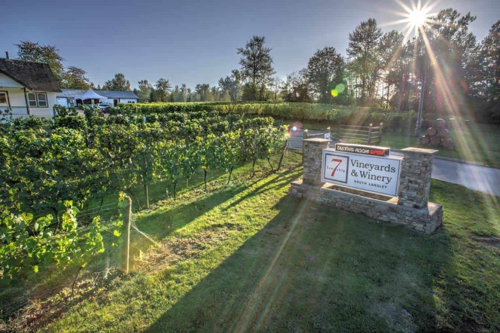 Township 7 Vineyards