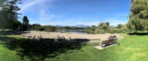 Trout Lake