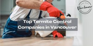 5 Termite Control Companies in Vancouver