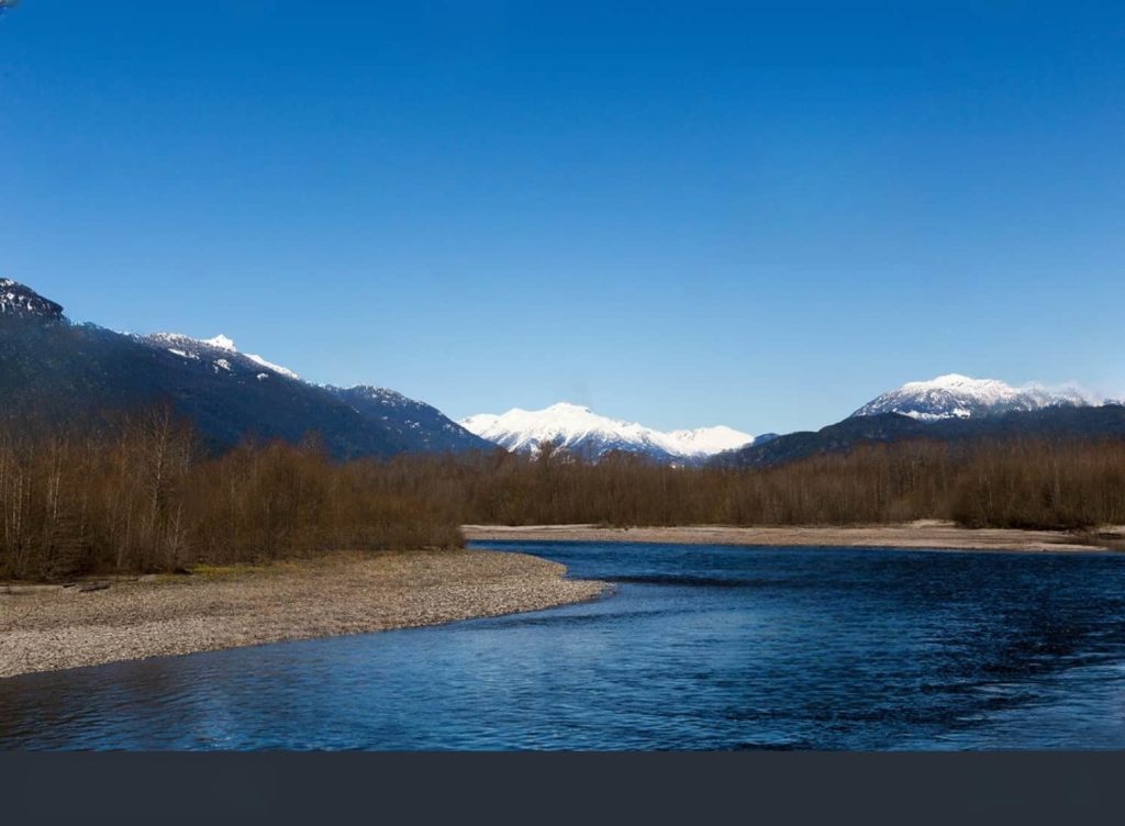 Brackendale Eagles Provincial Park