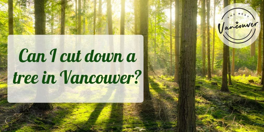 Can I cut down a tree in Vancouver