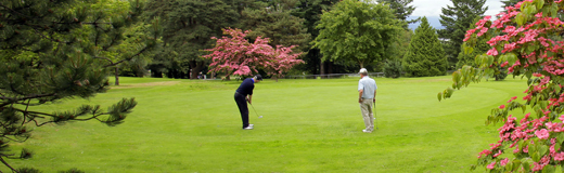 Queen Elizabeth Pitch & Putt