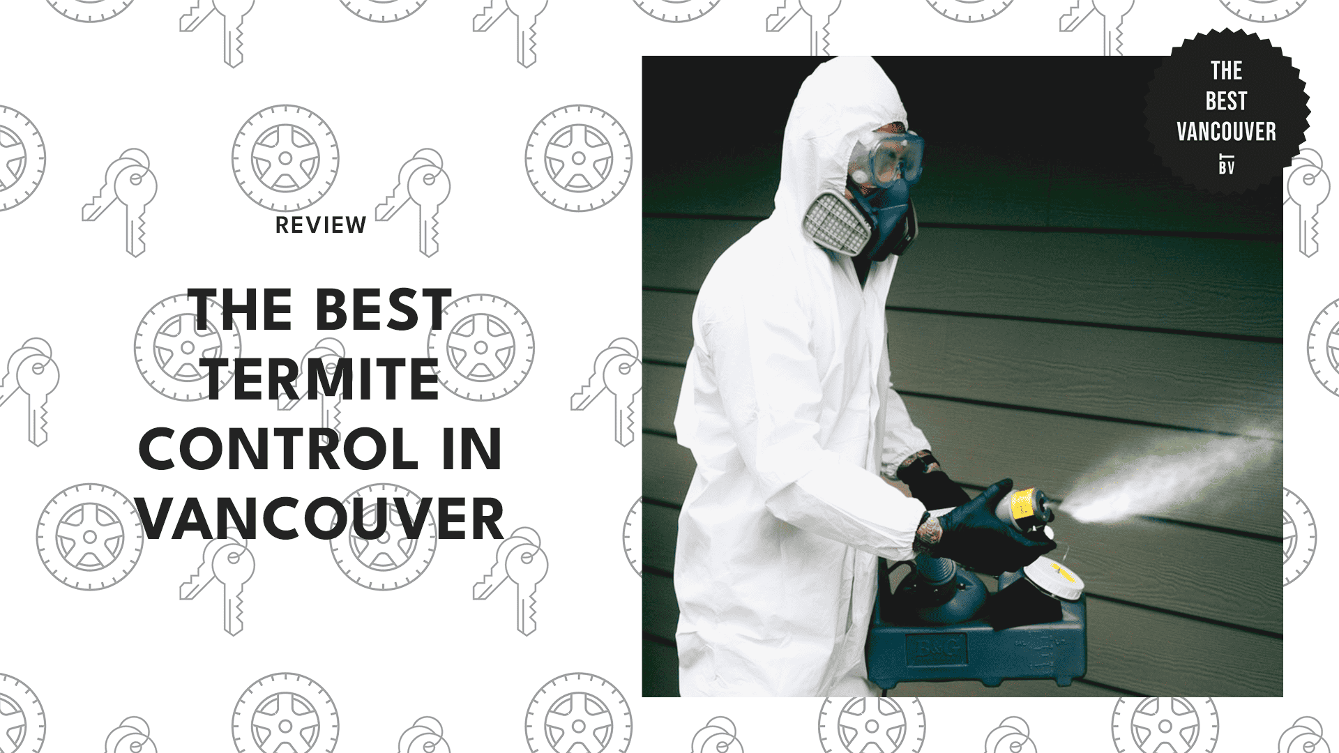 TOP 5 TERMITE CONTROL COMPANIES IN VANCOUVER