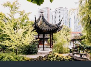 Visit the Dr. Sun Yat-Sen Classical Chinese Garden