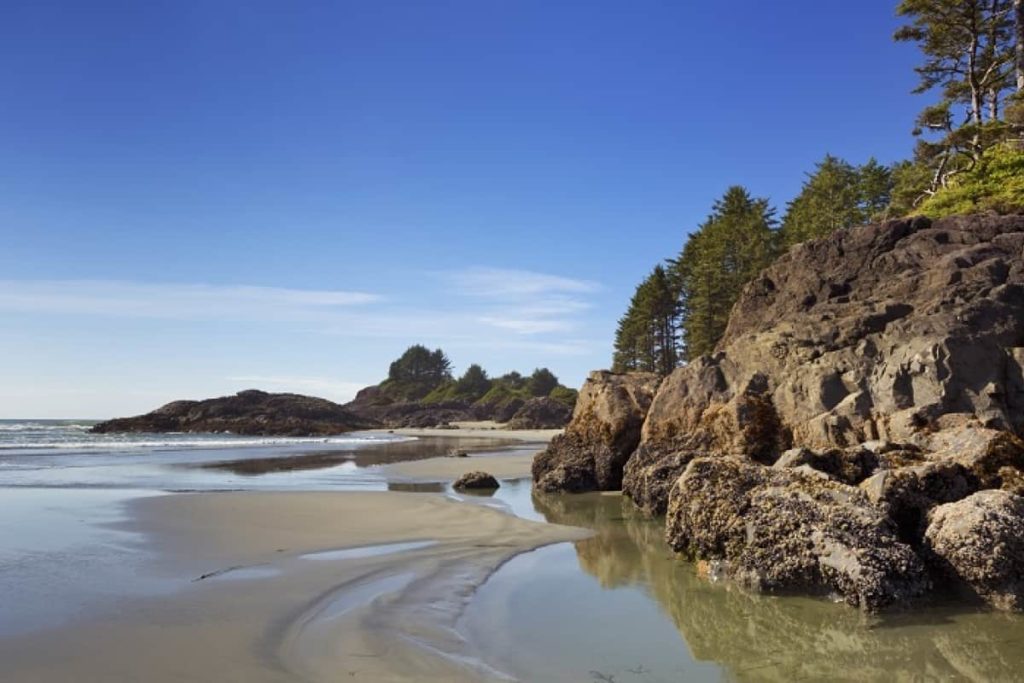Where can you see bioluminescence on Vancouver Island
