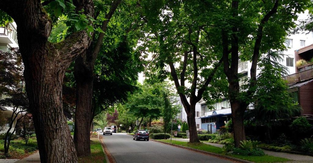 You Need to Get a Tree Removal Permit