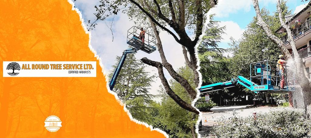 all round tree service ltd
