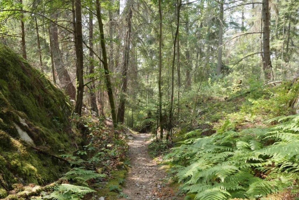 Is Lighthouse Park a hard hike