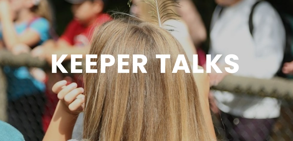 Join the Keeper Talks