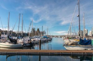 Spruce Harbour Marina
