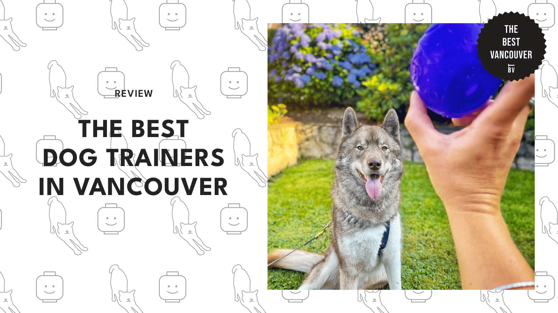 THE 15 BEST DOG TRAINERS IN VANCOUVER