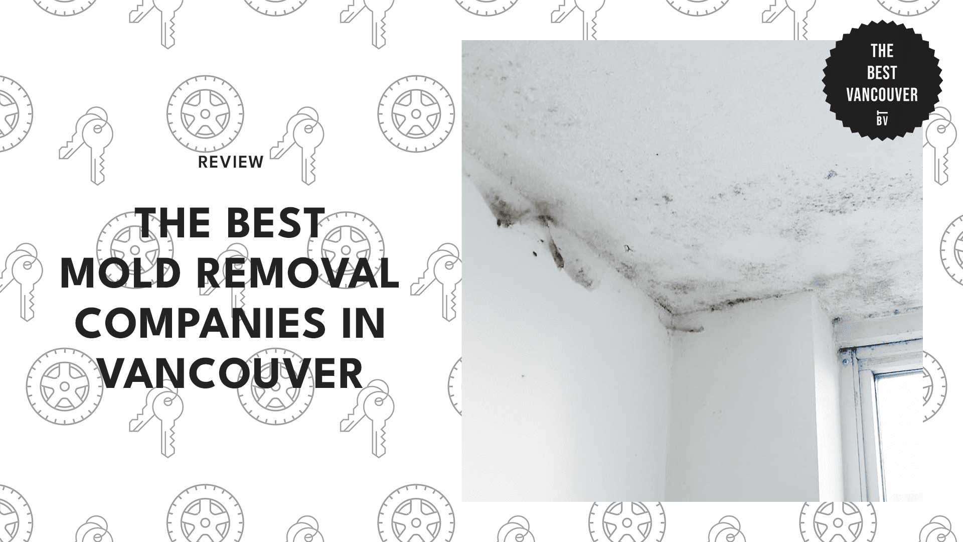 BEST MOLD REMOVAL COMPANIES IN VANCOUVER