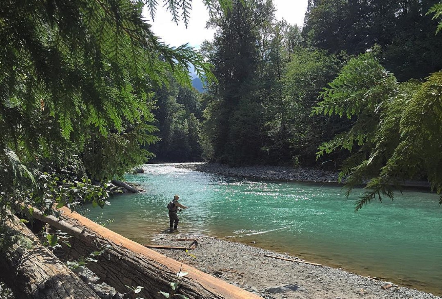 Head to the Scenic Squamish River