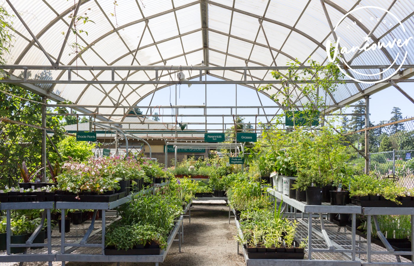 Best Botanical Garden in Vancouver