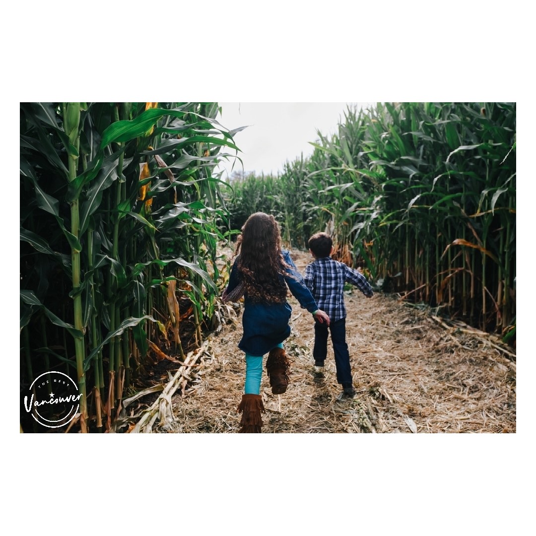 Best Corn Maze near Vancouver