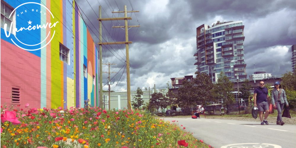 Ultimate Guide to Arbutus Greenway