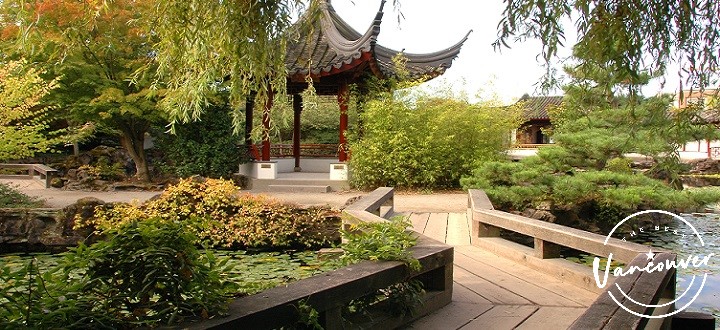 Ultimate Guide to Chinese Garden in Vancouver