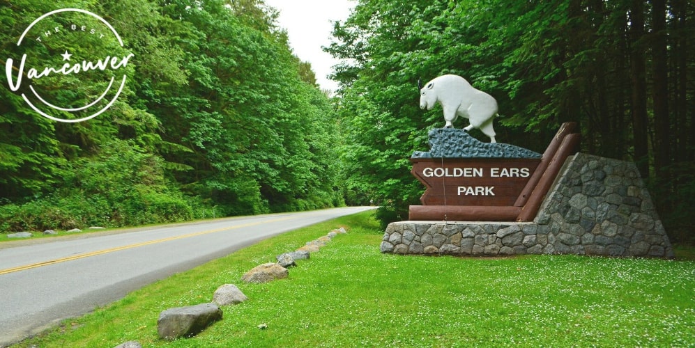 Ultimate Guide to Golden Ears Park