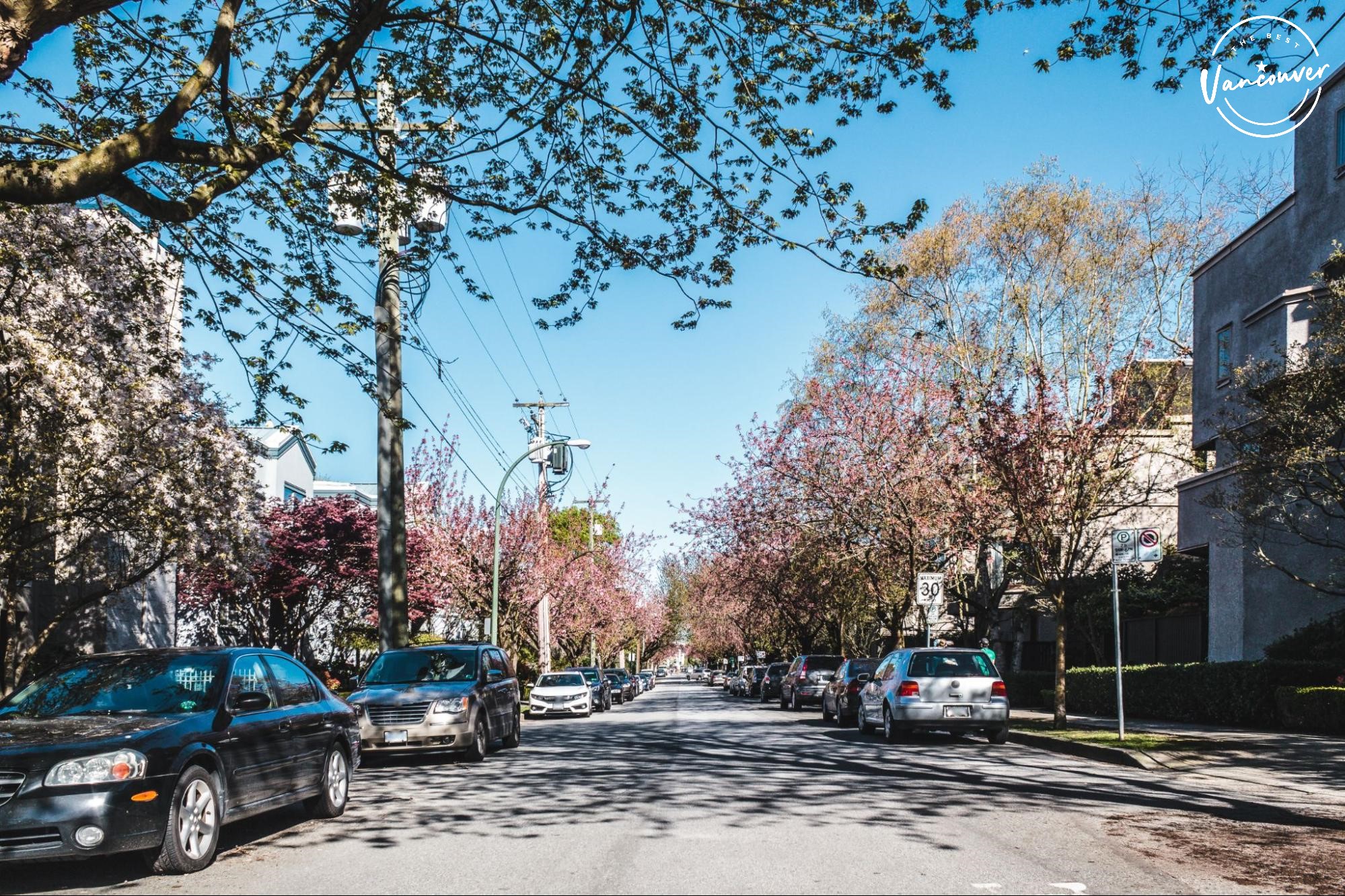 Ultimate Guide to Kerrisdale Vancouver