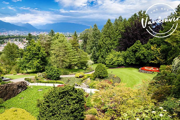 Ultimate Guide to Queen Elizabeth Park in Vancouver