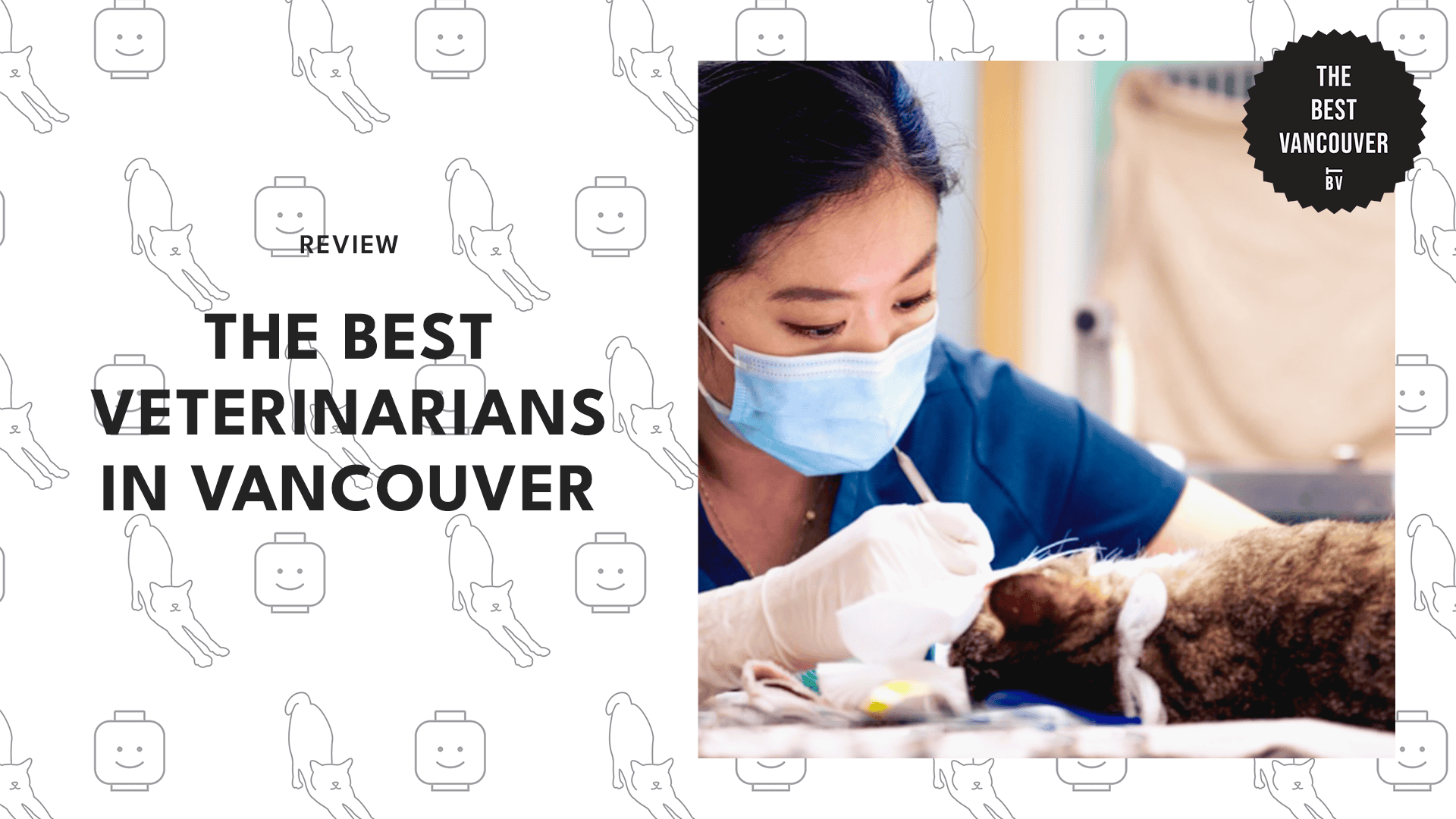 veterinarians-in-vancouver