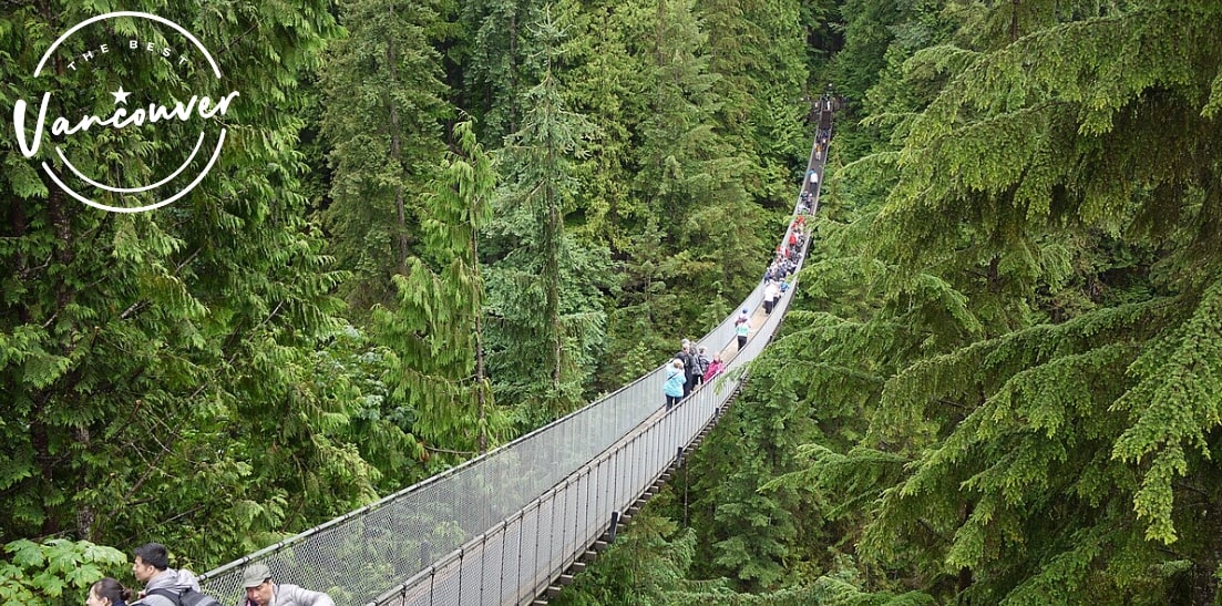 Ultimate Guide to Capilano Suspension Bridge Park