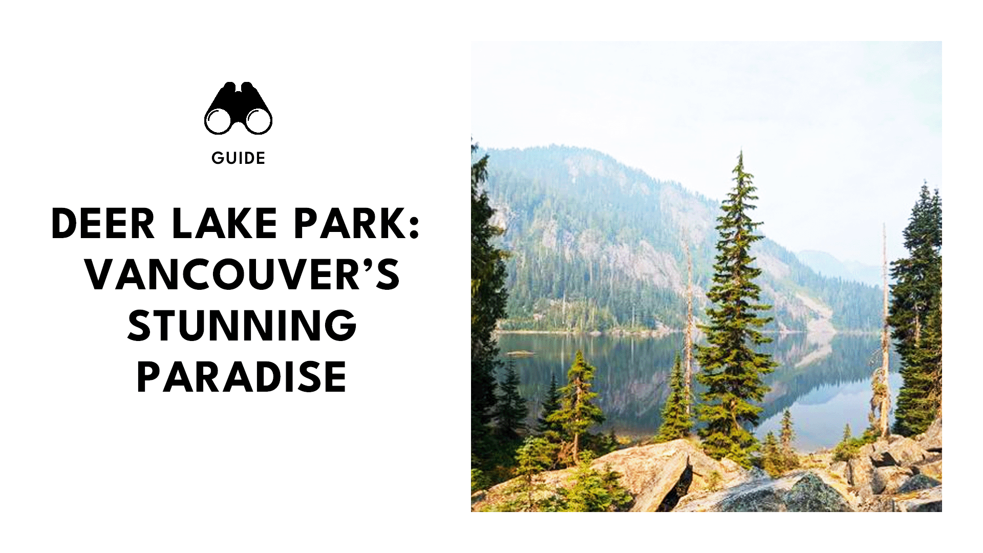 Ultimate Guide to Deer Lake Park Vancouver