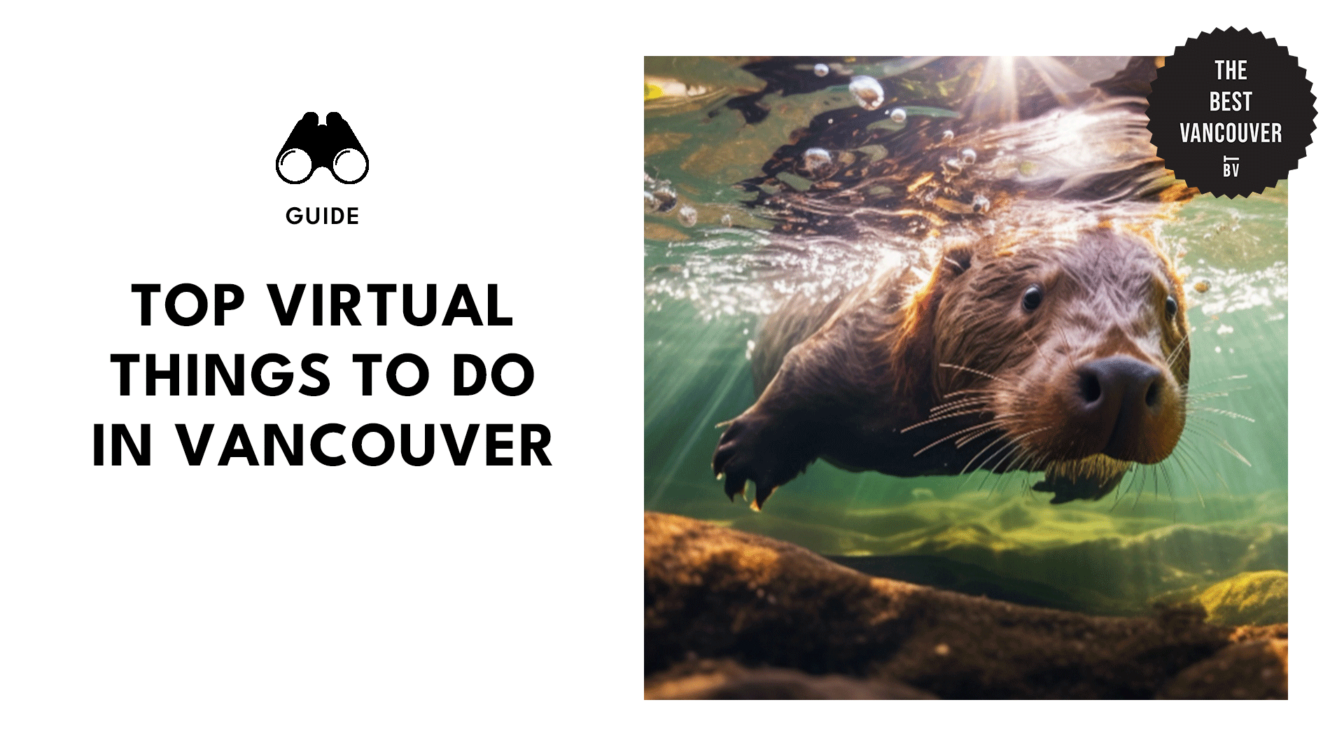 Best Virtual Things to Do in Vancouver