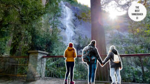 Majestic Waterfall Views