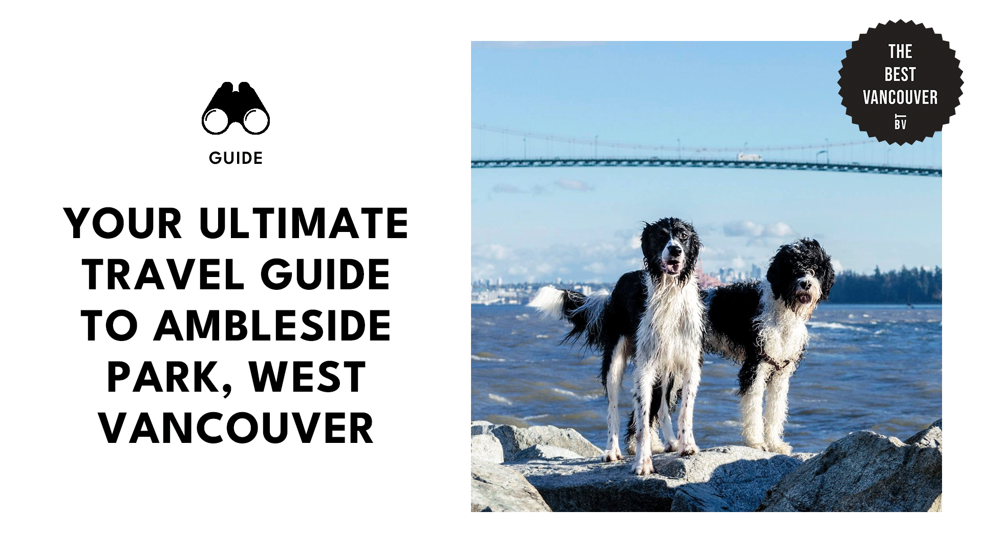 Ultimate Travel Guide to Ambleside in West Vancouver