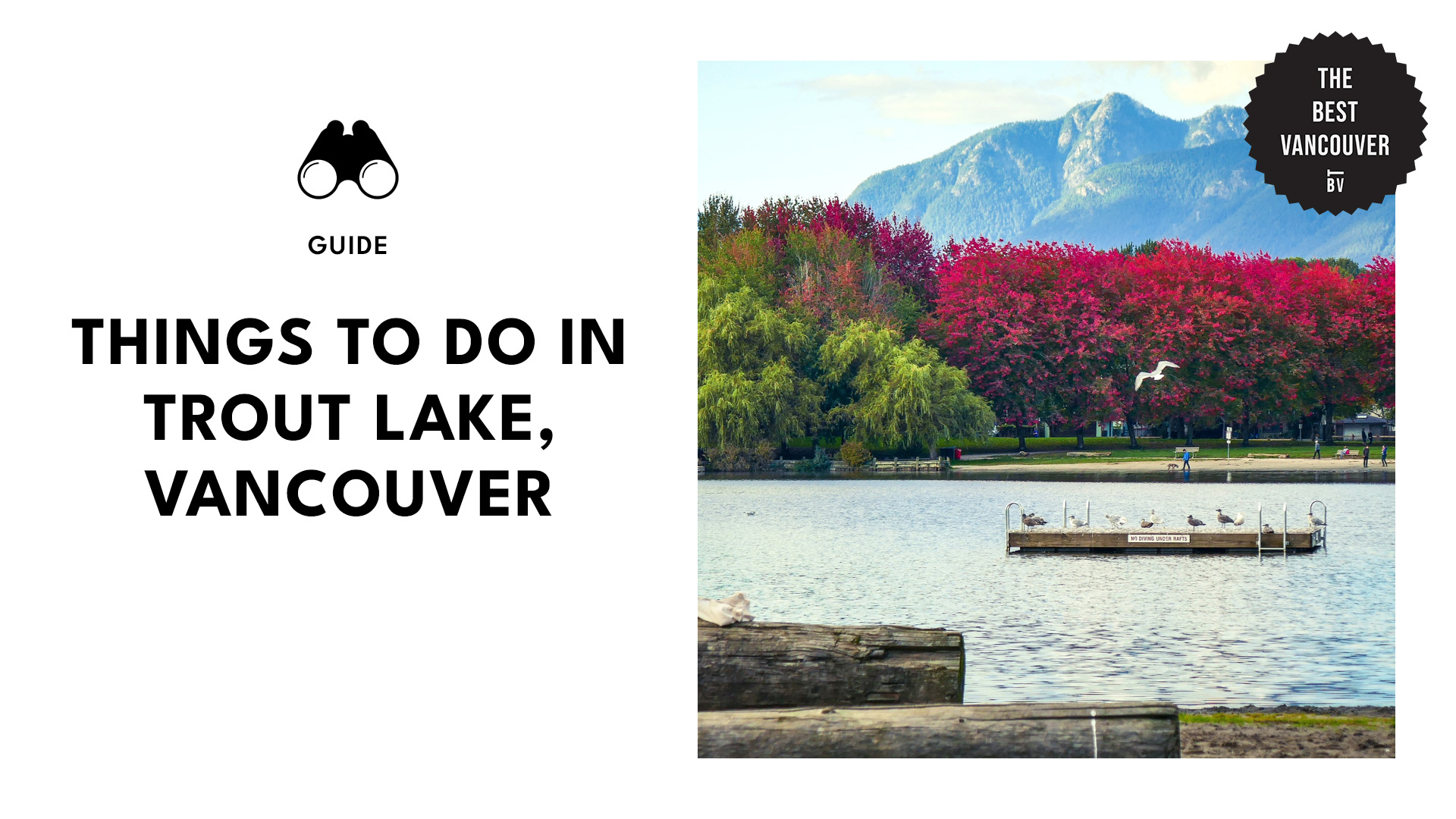 Best Things to Do in Trout Lake Vancouver