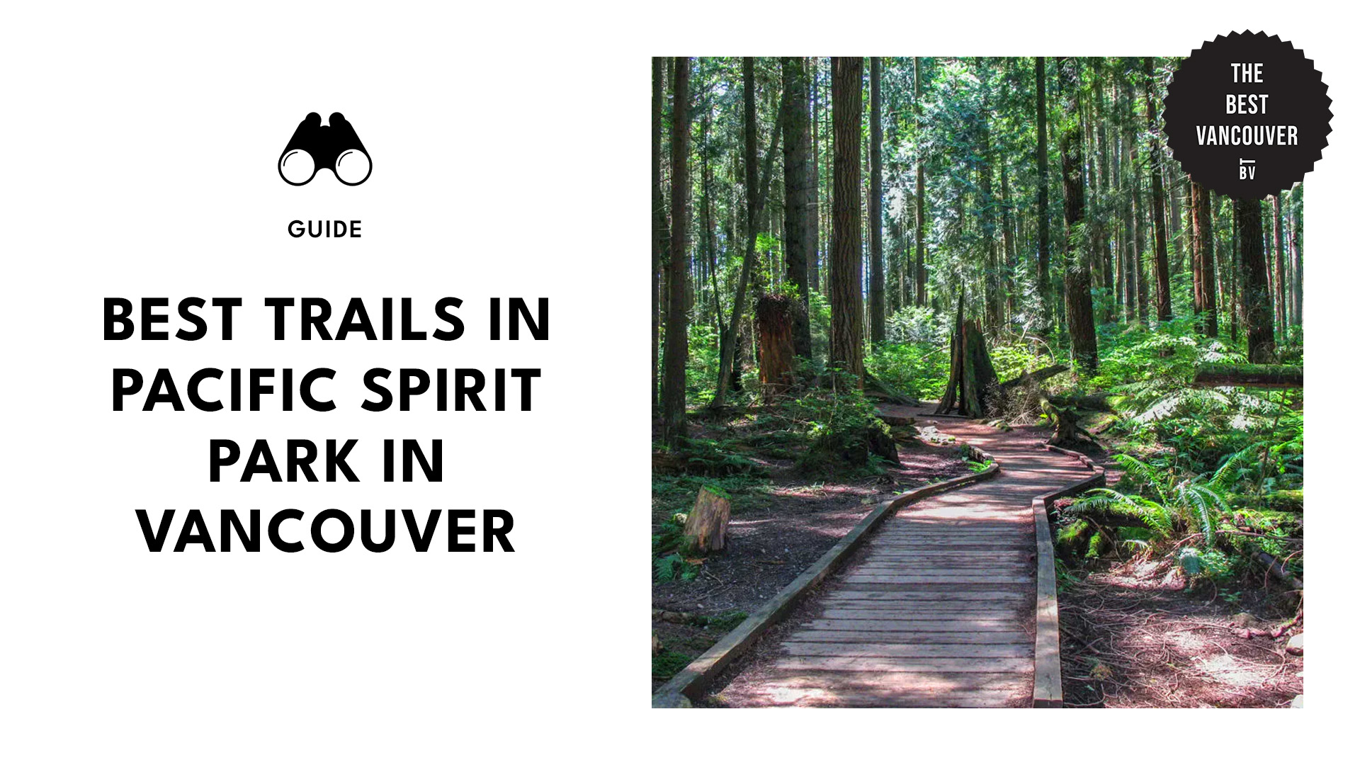 Best Trails in Pacific Spirit Park in Vancouver