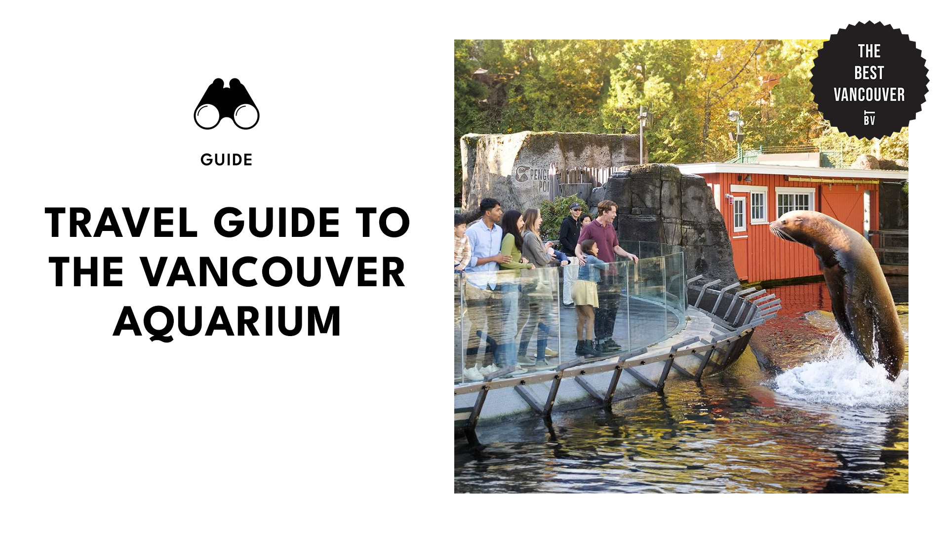 Ultimate Travel Guide to Vancouver Aquarium