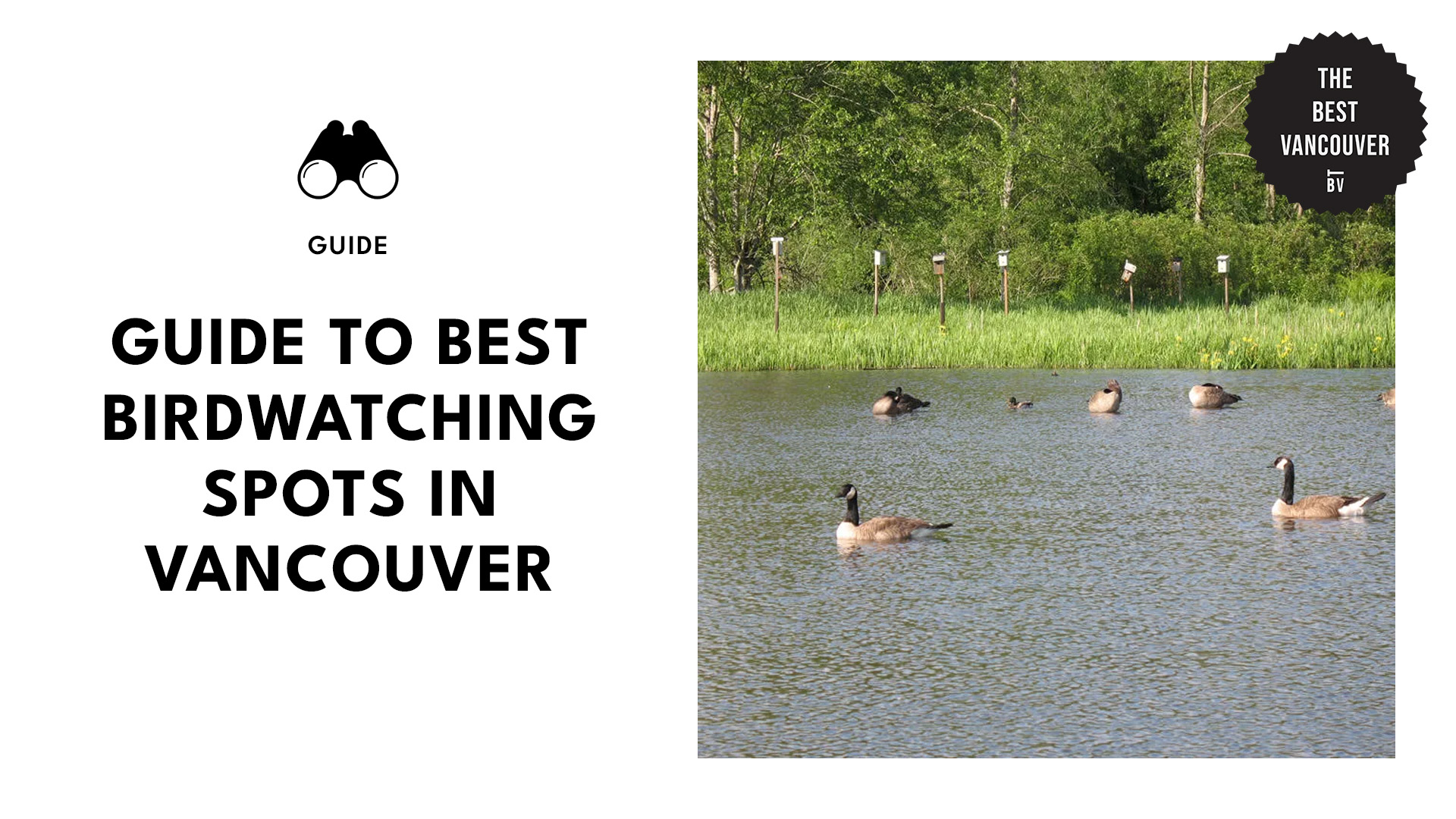 Guide to Birdwatching Spots in Vancouver