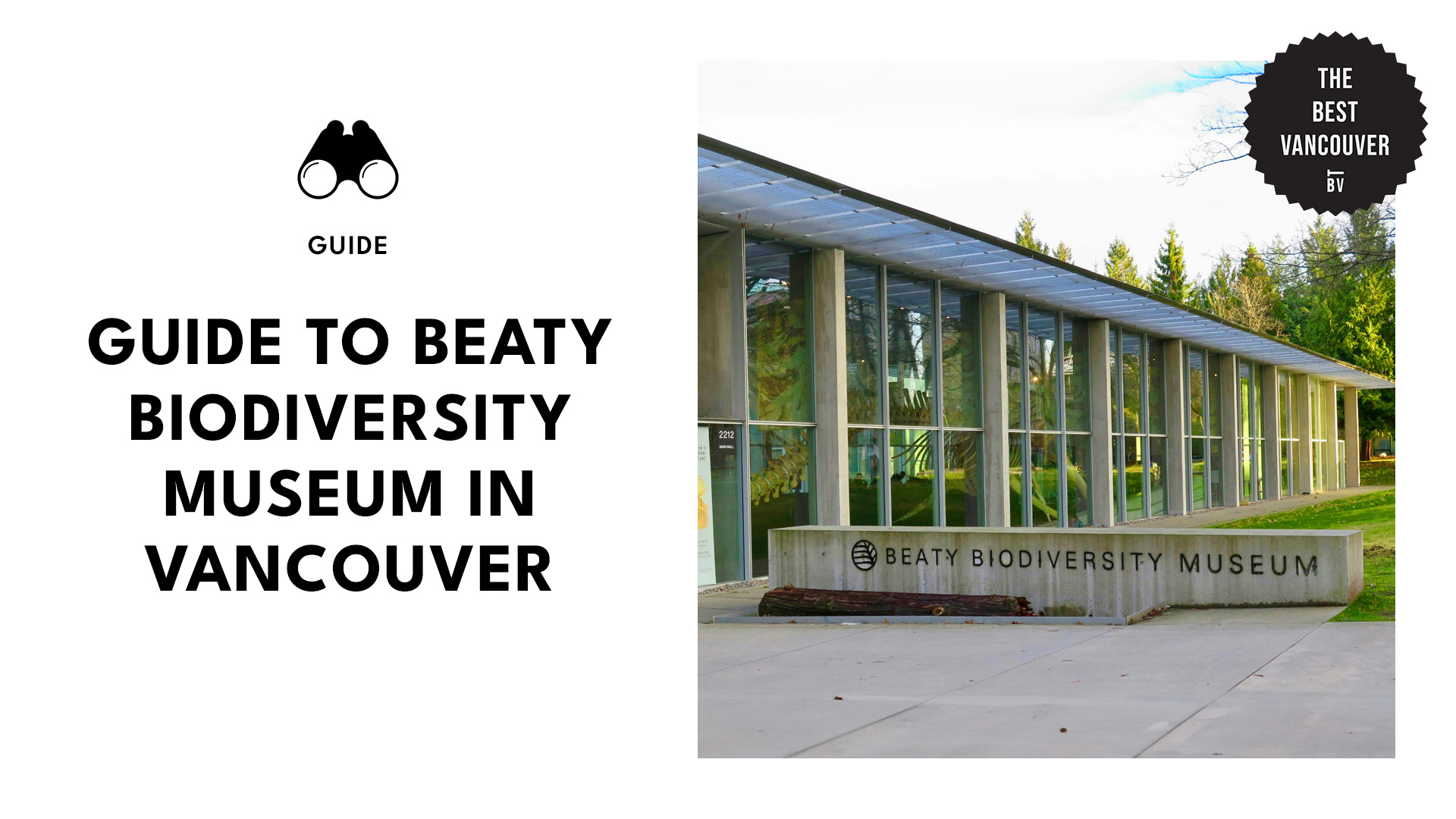 Guide to Beaty Biodiversity Museum in Vancouver