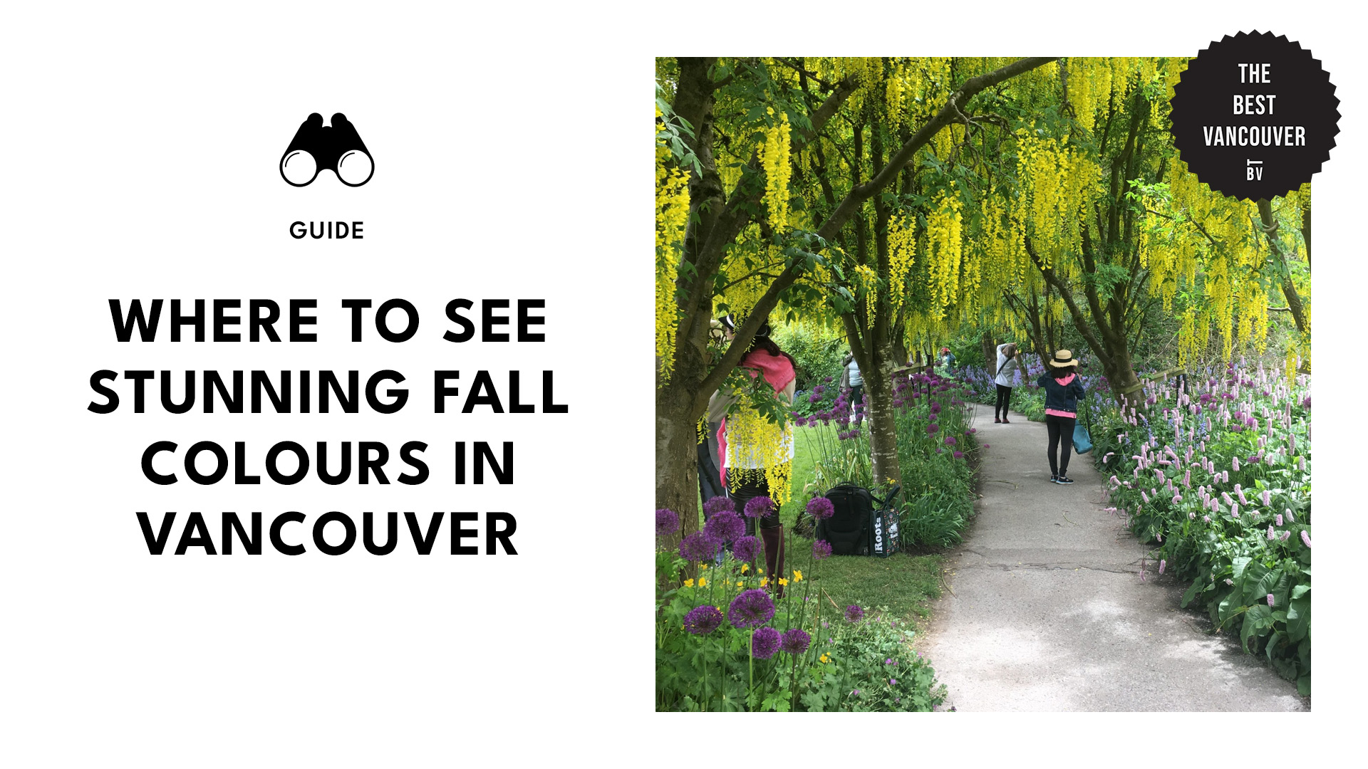 Where to See Stunning Fall Colours in Vancouver